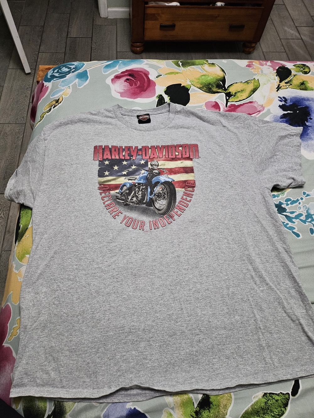 Harley-Davidson Men's Grey Graphic Tee - Declare Your Independence